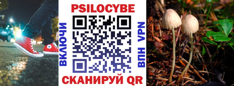 наркота  Каменск-Шахтинский  Галлюциногенные грибы Psilocybine cubensis 